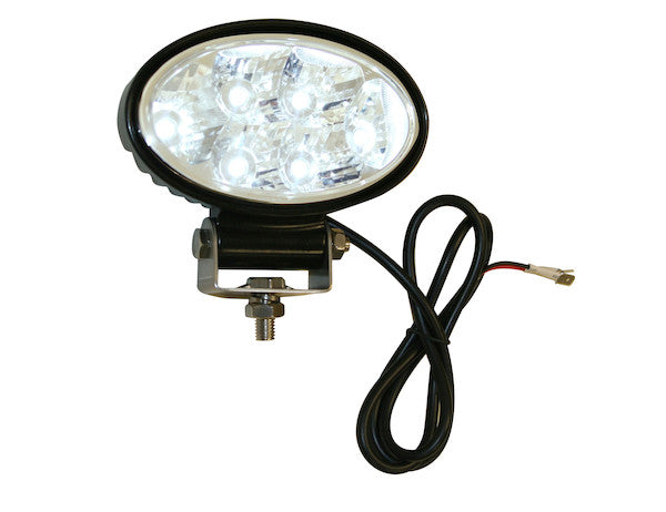 5.5 Inch LED Clear Oval Flood Light  