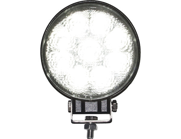 4 Inch Wide Round LED Clear Flood Light