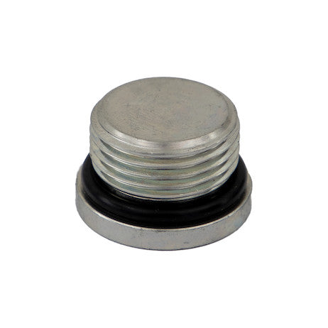 Straight Thread O-Ring Hex Socket Plug 3/4 Inch Port Size