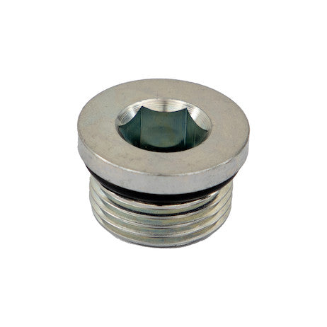 Straight Thread O-Ring Hex Socket Plug 3/4 Inch Port Size