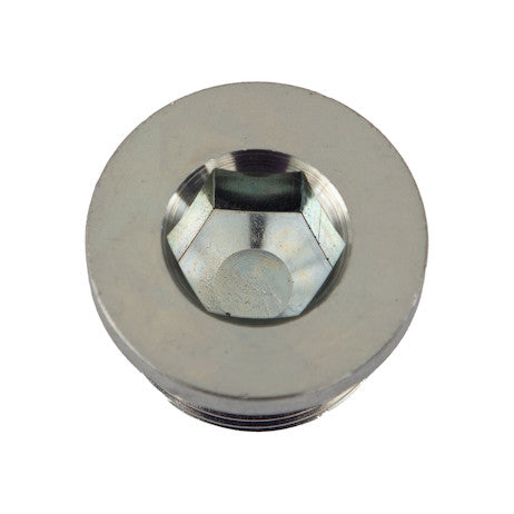 Straight Thread O-Ring Hex Socket Plug 3/4 Inch Port Size