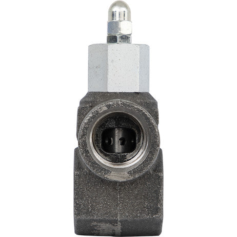 1 Inch NPT In-Line Relief Valve 30 GPM
